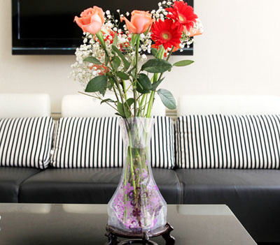 Plastic Collapsible Vases